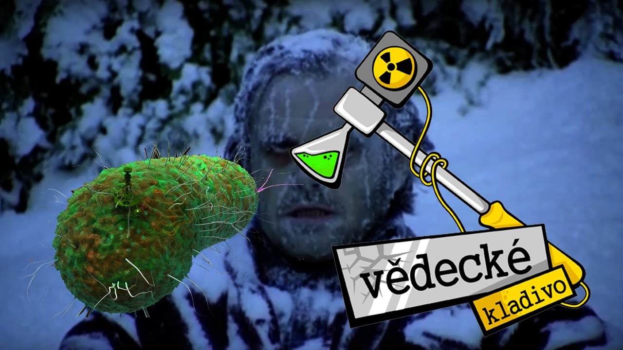 Jak zima způsobuje nemoce? - Vědecké kladivo