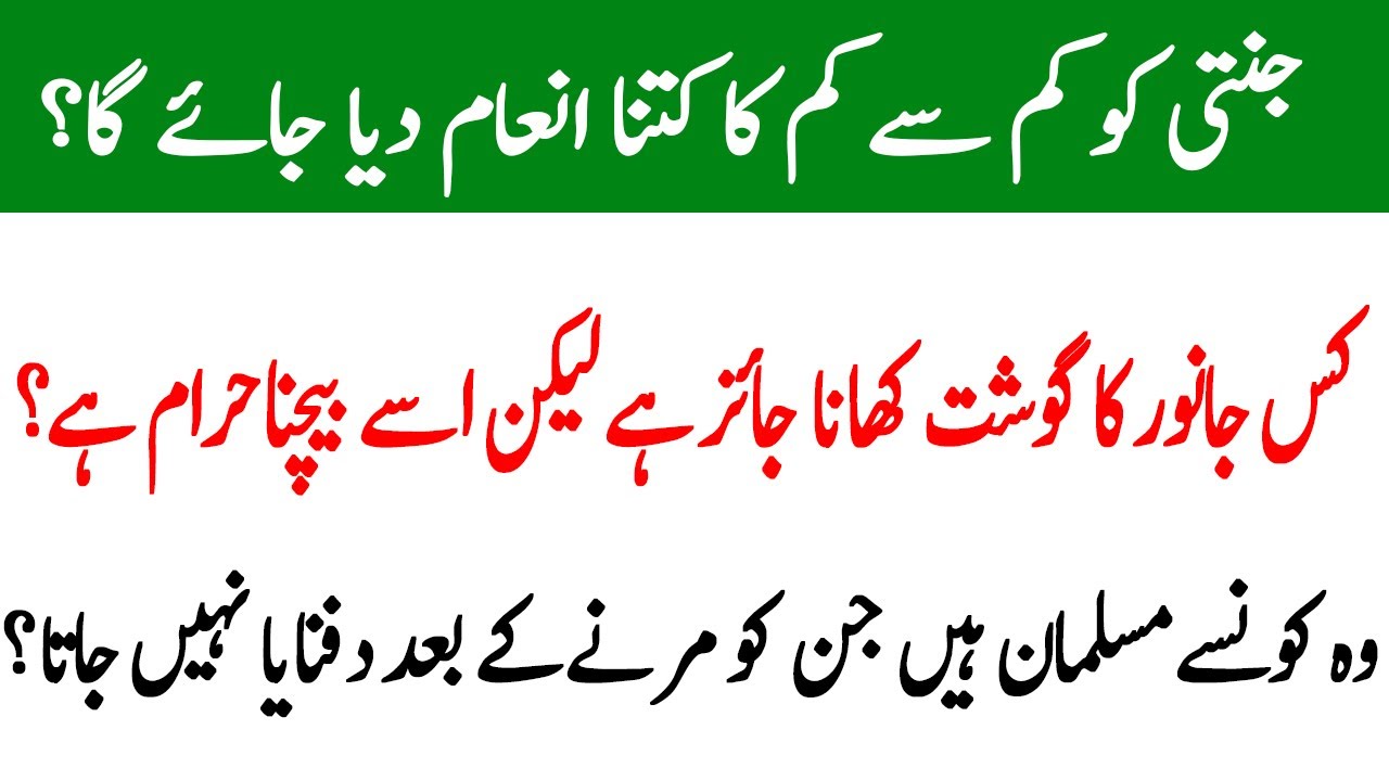 Islamic general knowledge |Dilchasp maloomat|quiz show online|Deeni maloomat