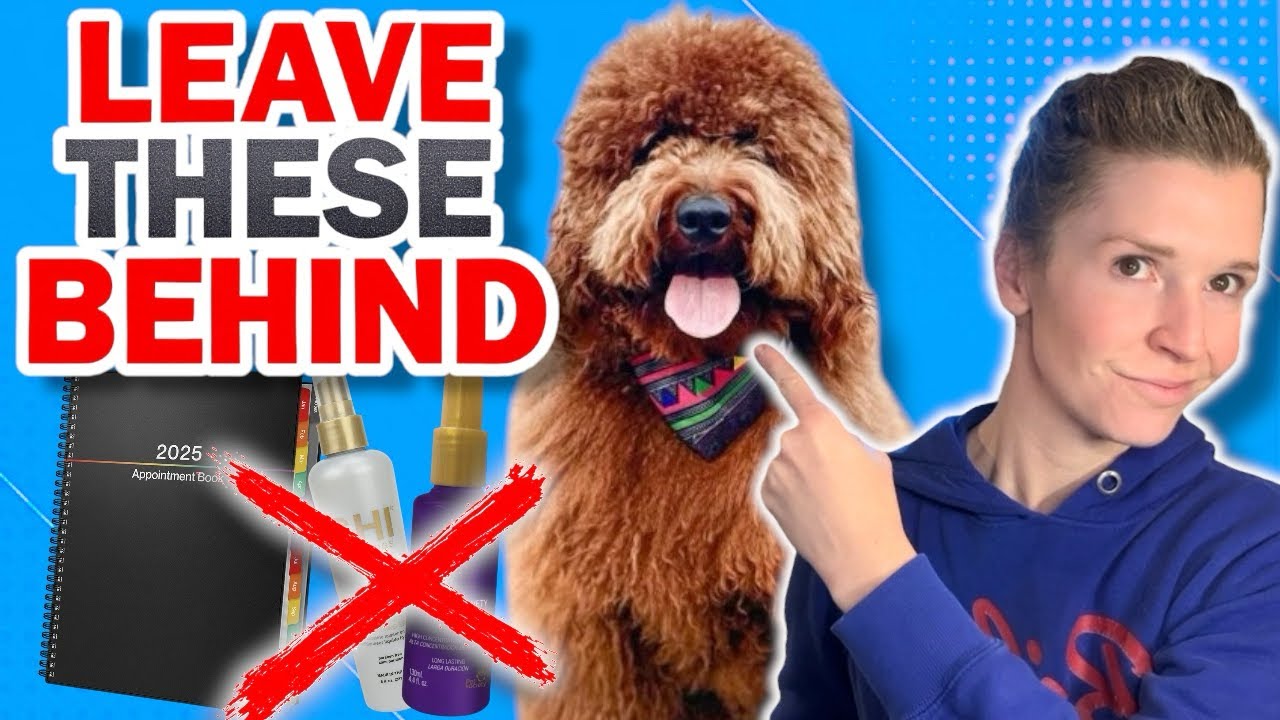 Dog Grooming Trends for 2025: What’s In & What’s Out!