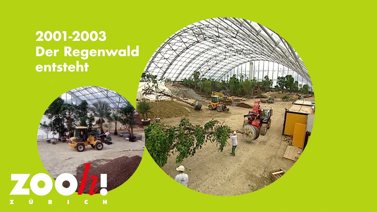 Happy Birthday Masoala Regenwald – Die Entstehungsgeschichte