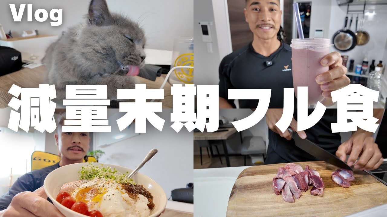 【２倍速で見てください】自称ボディビルダーが何年ぶりかにほとんど家から出ずにぐーたらニート最高な1日‼️