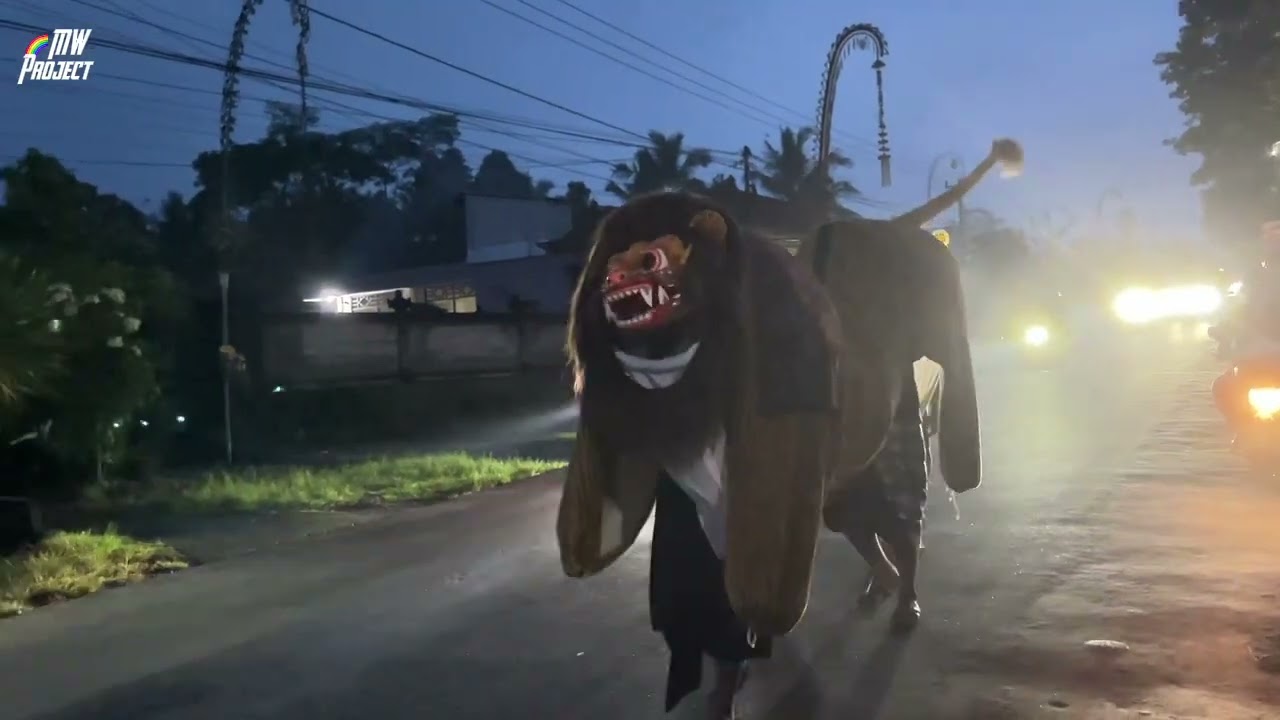 Barong Macan Ngelawang 
