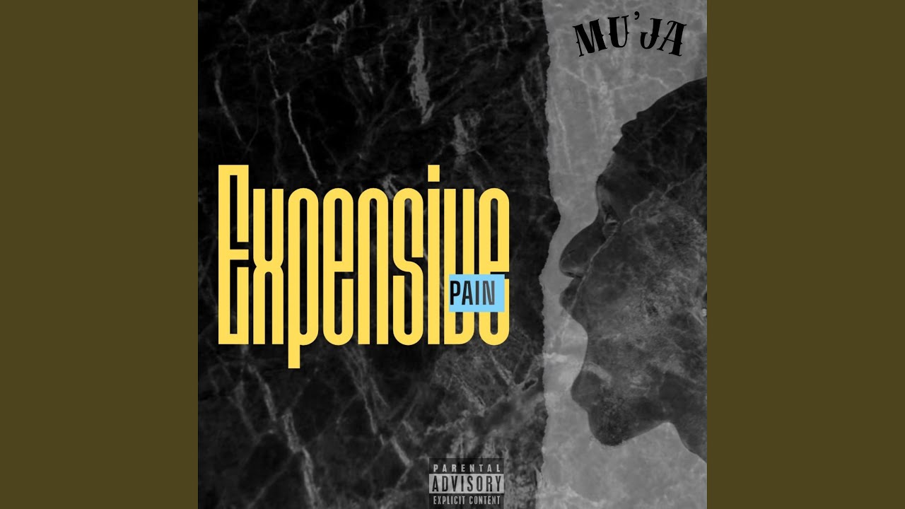 Expensive Pain(the freestyle)