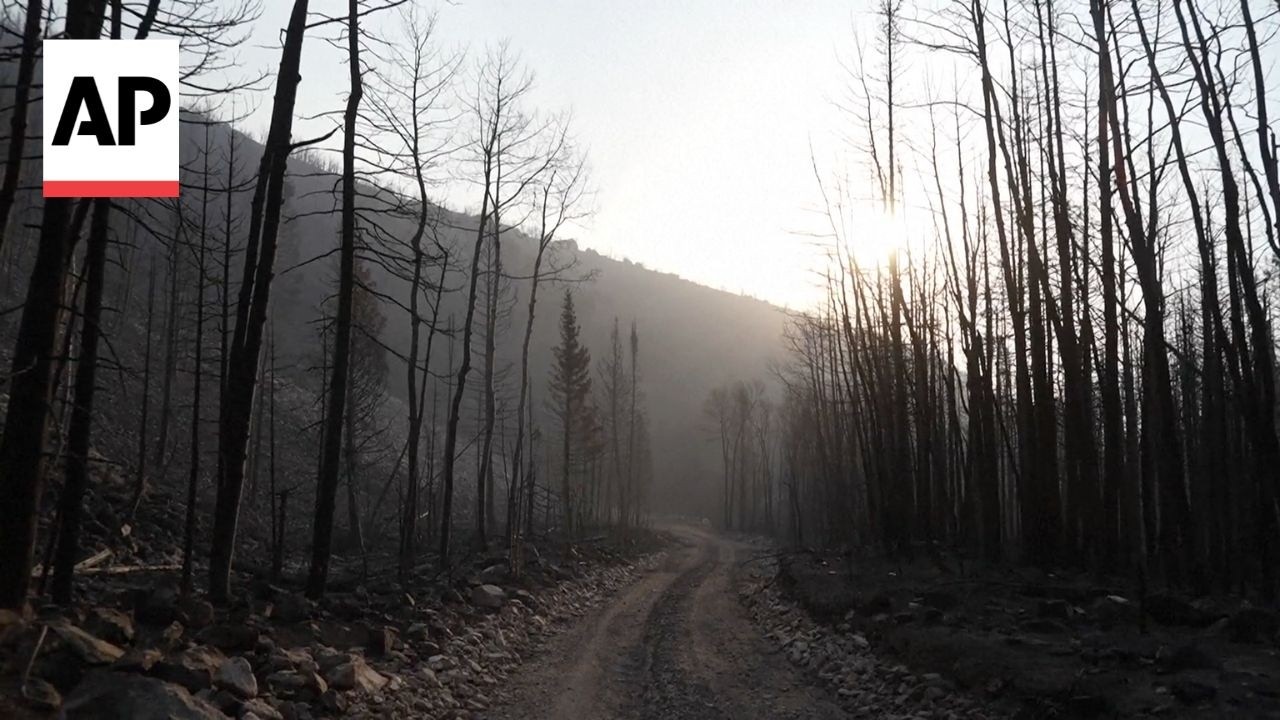 Largest wildfire in the US burns through forests in Utah