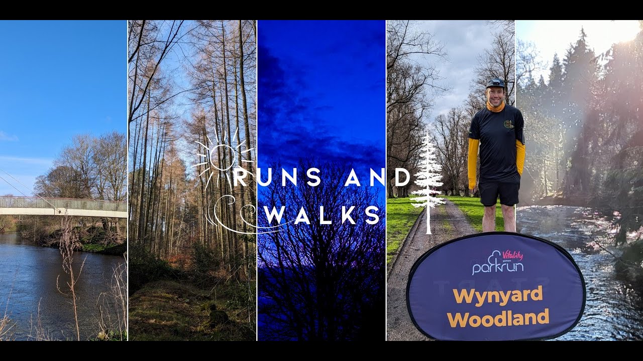 Wynyard Woodland Parkrun