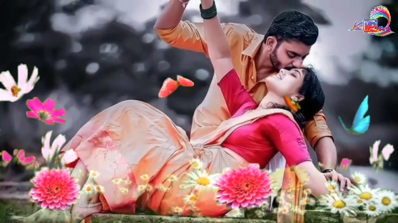 Neleka Miyad Din Banoa || Ho Munda Song || Old Ho Song || Old collection song by KVP pro