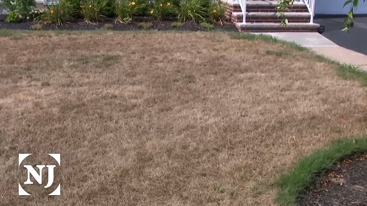 Parts of 7 NJ counties now in severe drought, feds say