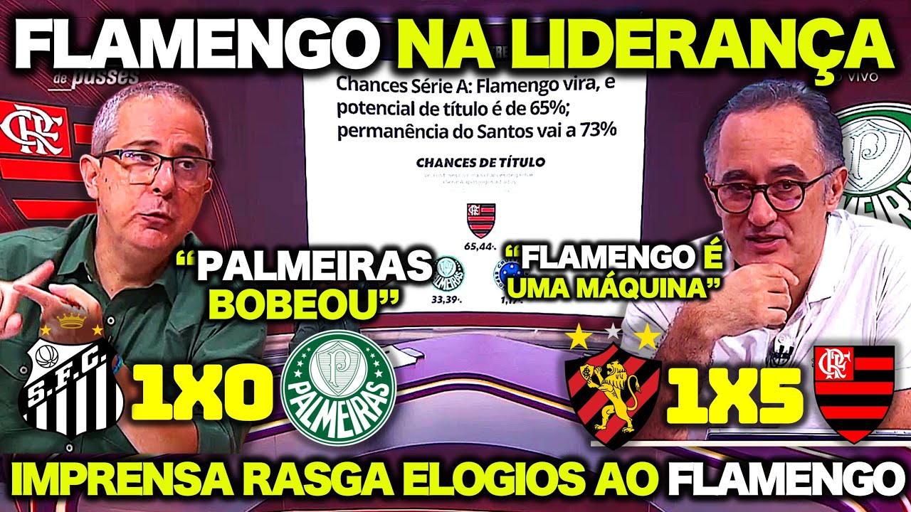 IMPRENSA ESPORTIVA RASGA ELOGIOS AO FLAMENGO ! DERROTA do PALMEIRAS DEIXA O MENGÃO PERTO do TÍTULO