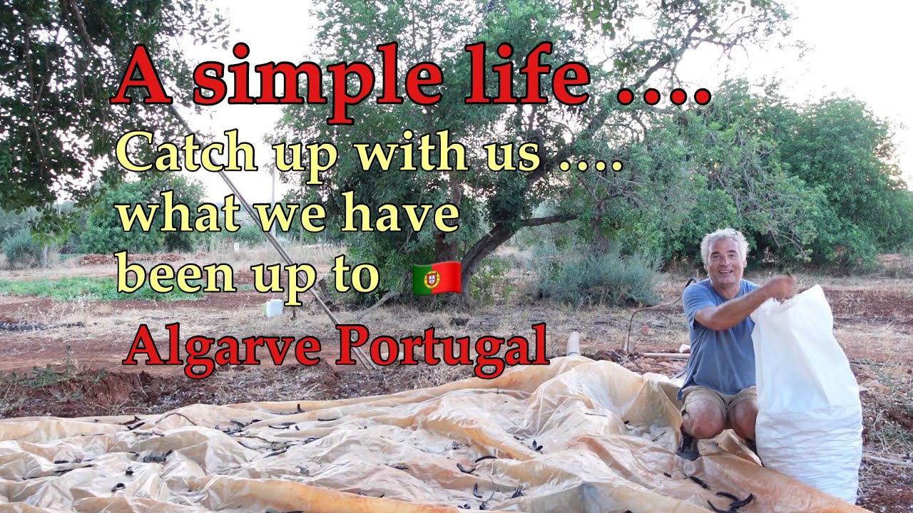 Time for a catch up 🌻 what’s new on our 2 acre farm in the Algarve 🇵🇹 Portugal 