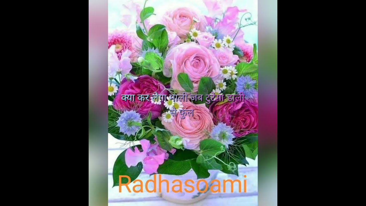 राधा स्वामी 🌺💐🙏❤️💐//के कर लेगा माली जब टुटेगा डाली से फुल 🌺🌺🌺🌺🌺