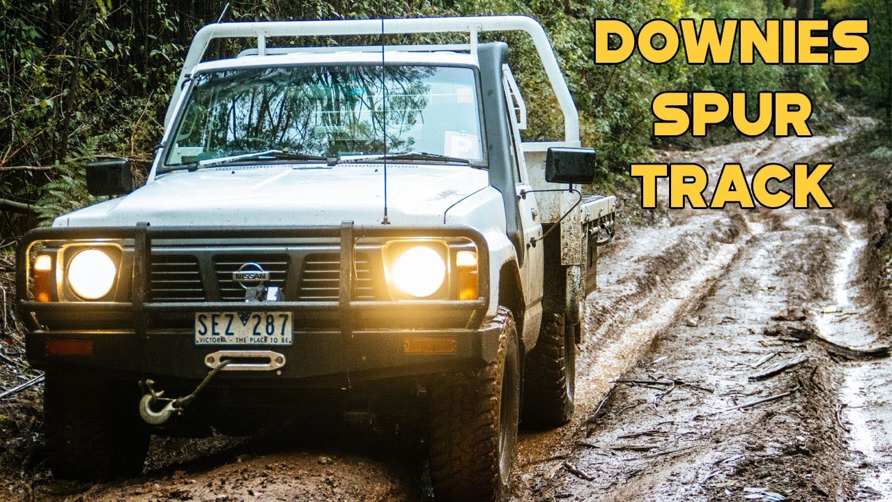 Downies Spur Track | Toolangi