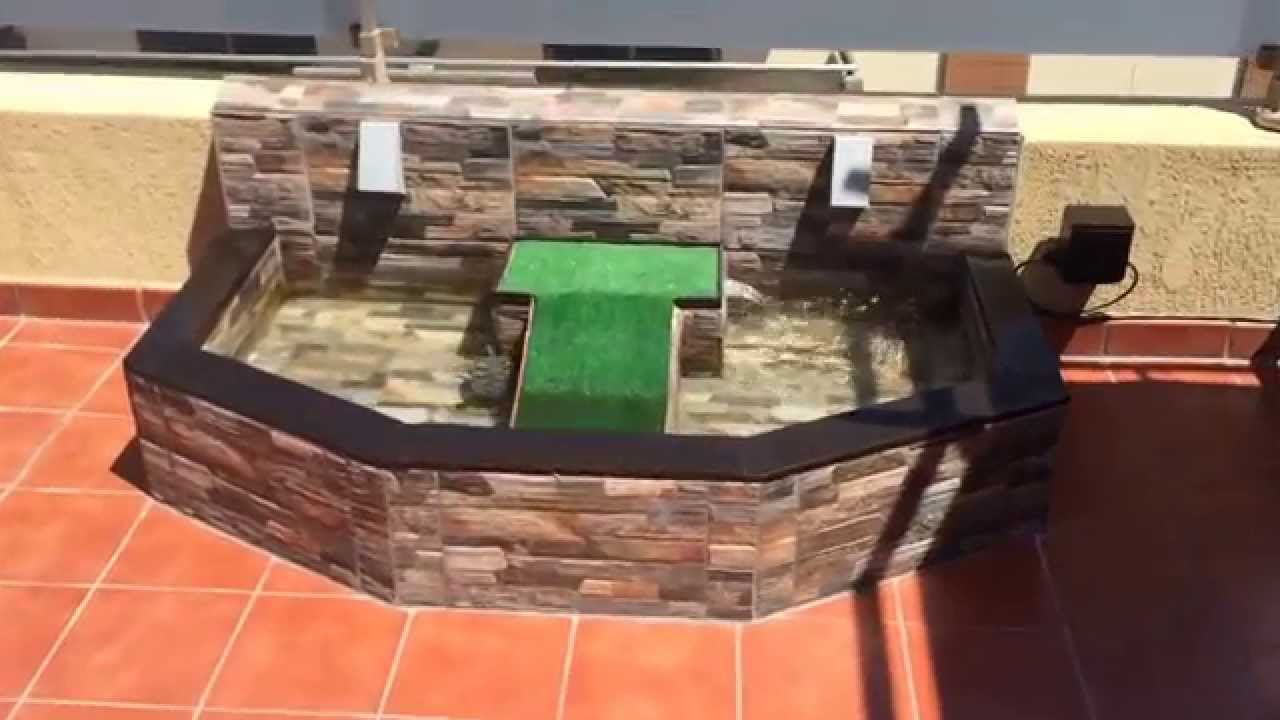 Estanque para tortugas