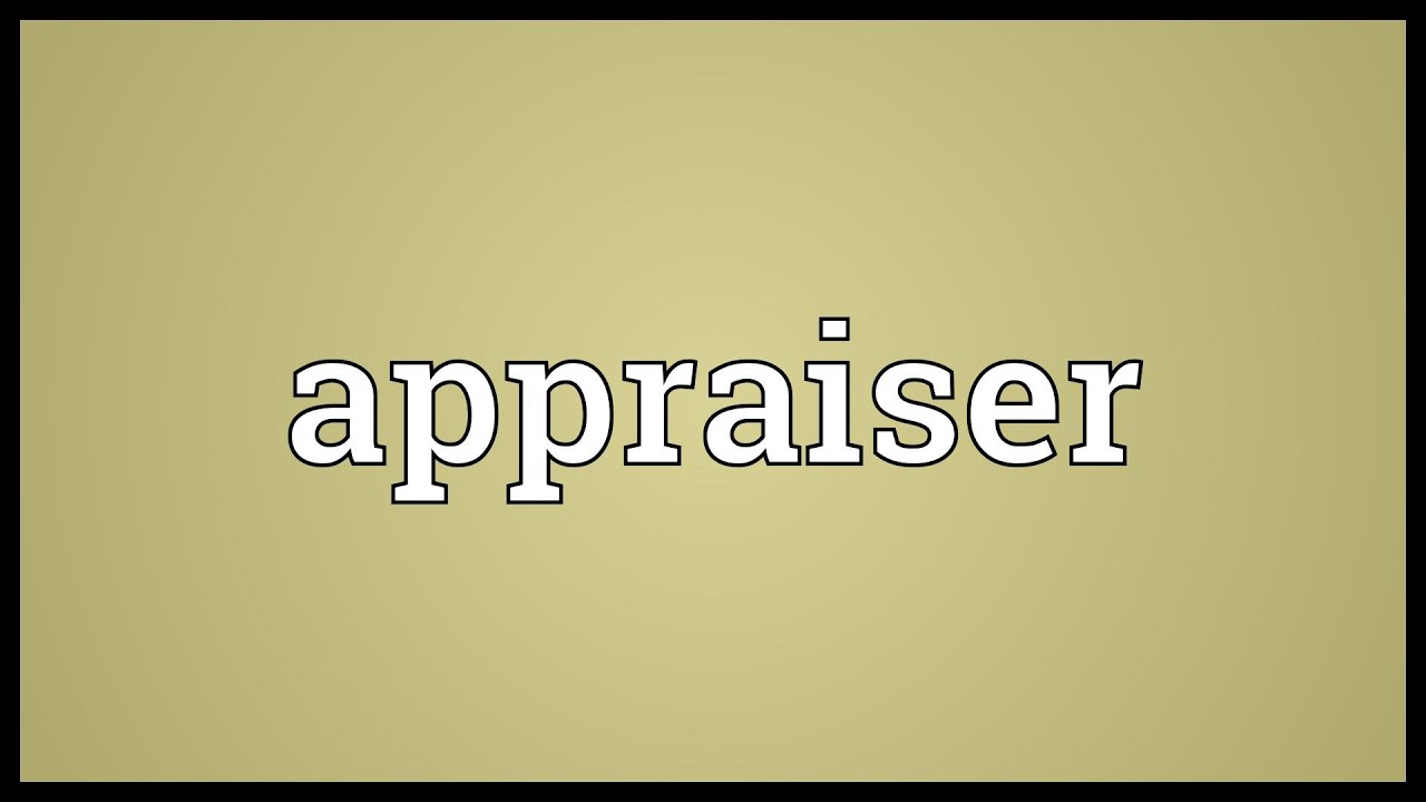 Appraiser Meaning