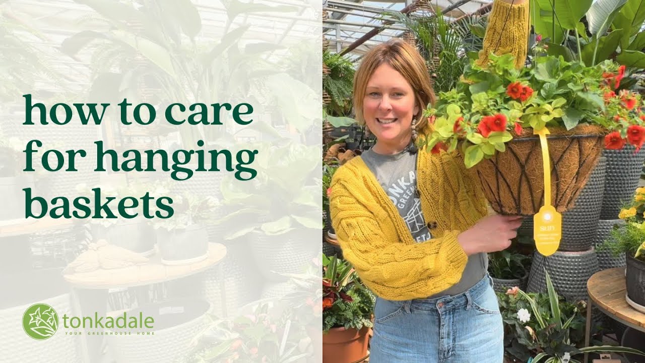How to Care for Hanging Baskets