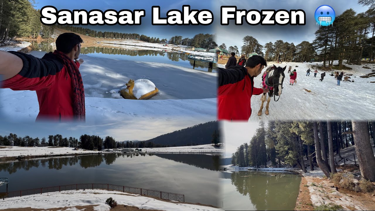Sanasar Lake Frozen 🥶 ||Patnitop live snowfall ||#patnitop #livesnowfall #snow #frozen #sanasar 