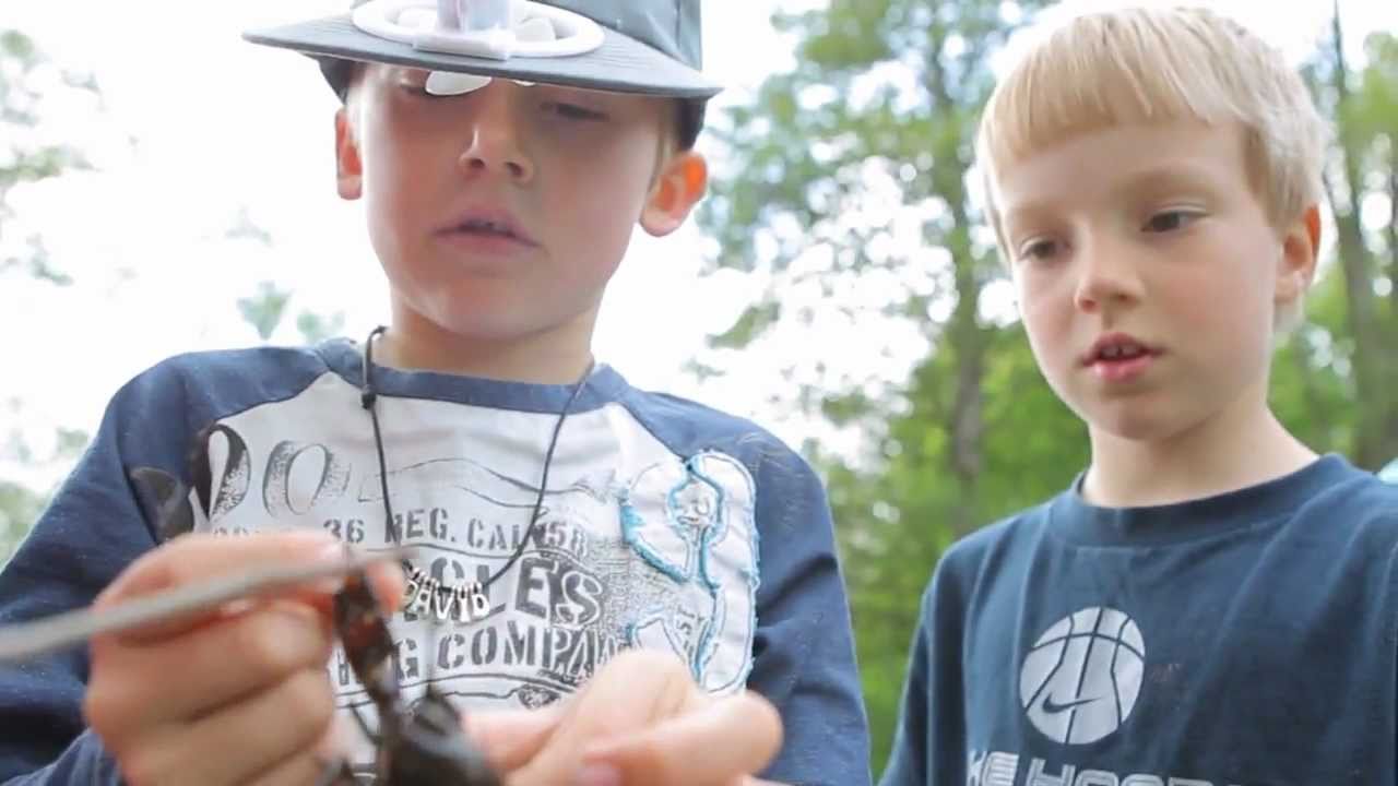 Midg&aring;rd skola - Presenteras av Videobrigade
