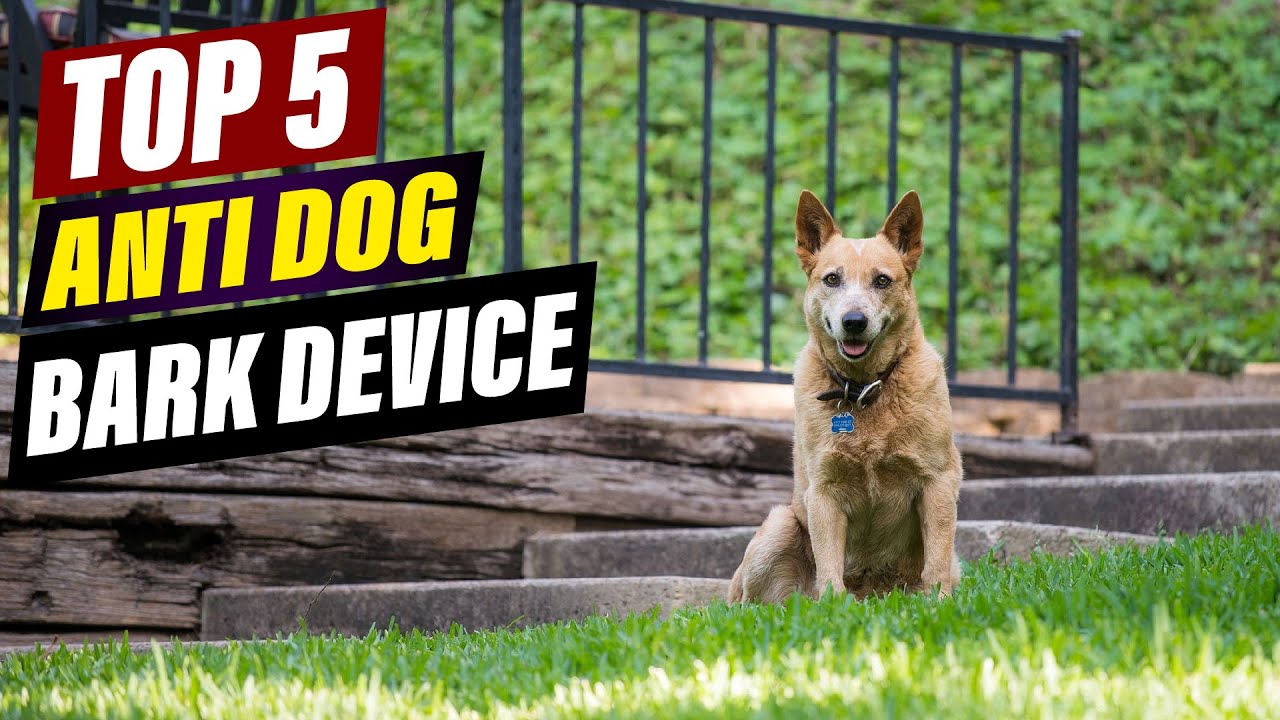 Top 5 Best Anti Dog Bark Devices in 2026 &ndash; Stop Excessive Barking Fast!