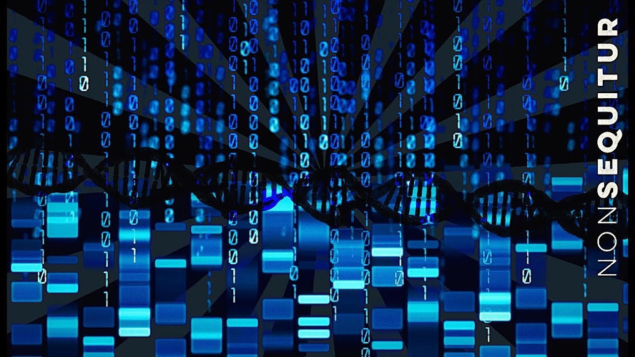 Is DNA a Code? A Debate | Stated Clearly Jon Perry ft. Shannon Q.