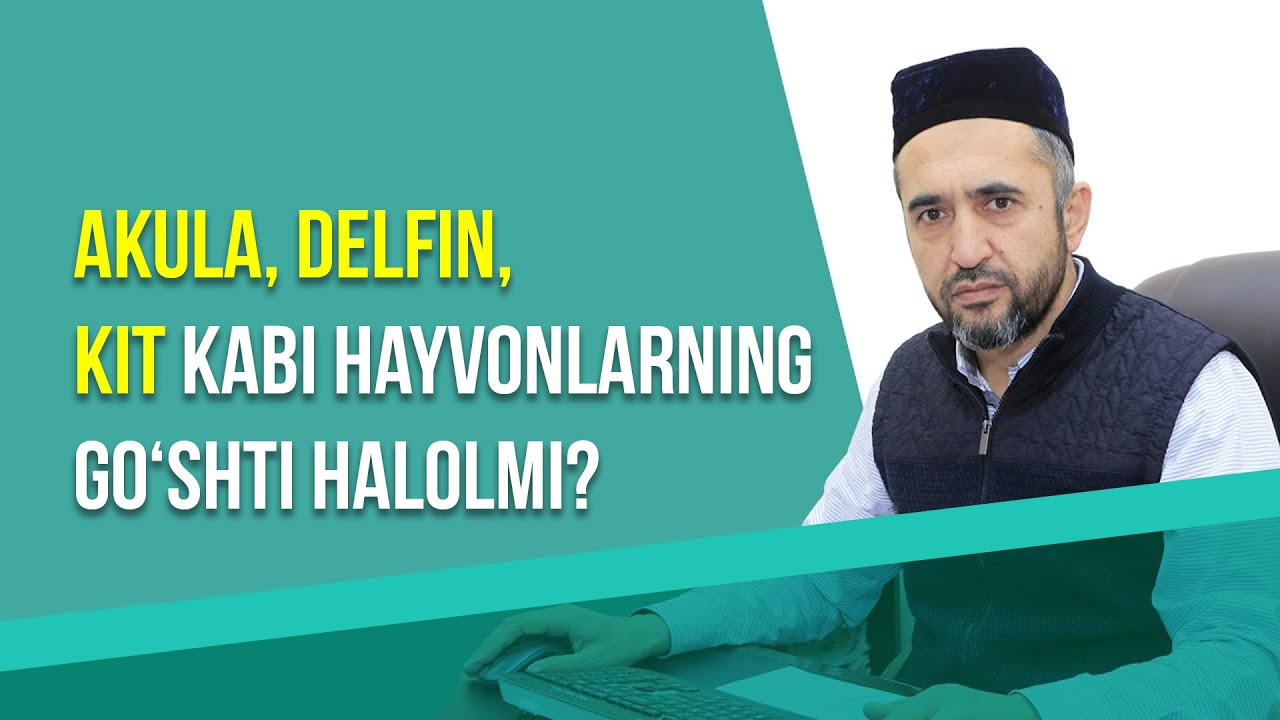 Akula, delfin, kit kabi hayvonlarning go&lsquo;shti halolmi? | Diniy savol-javob