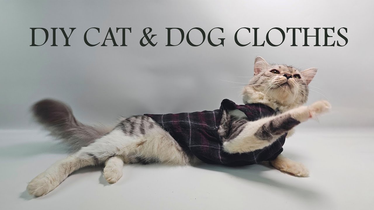 HOW TO SEW CAT & DOG CLOTHES | DIY CAT & DOG CLOTHES | CAT & DOG SHIRT | DIY 猫和狗衣服