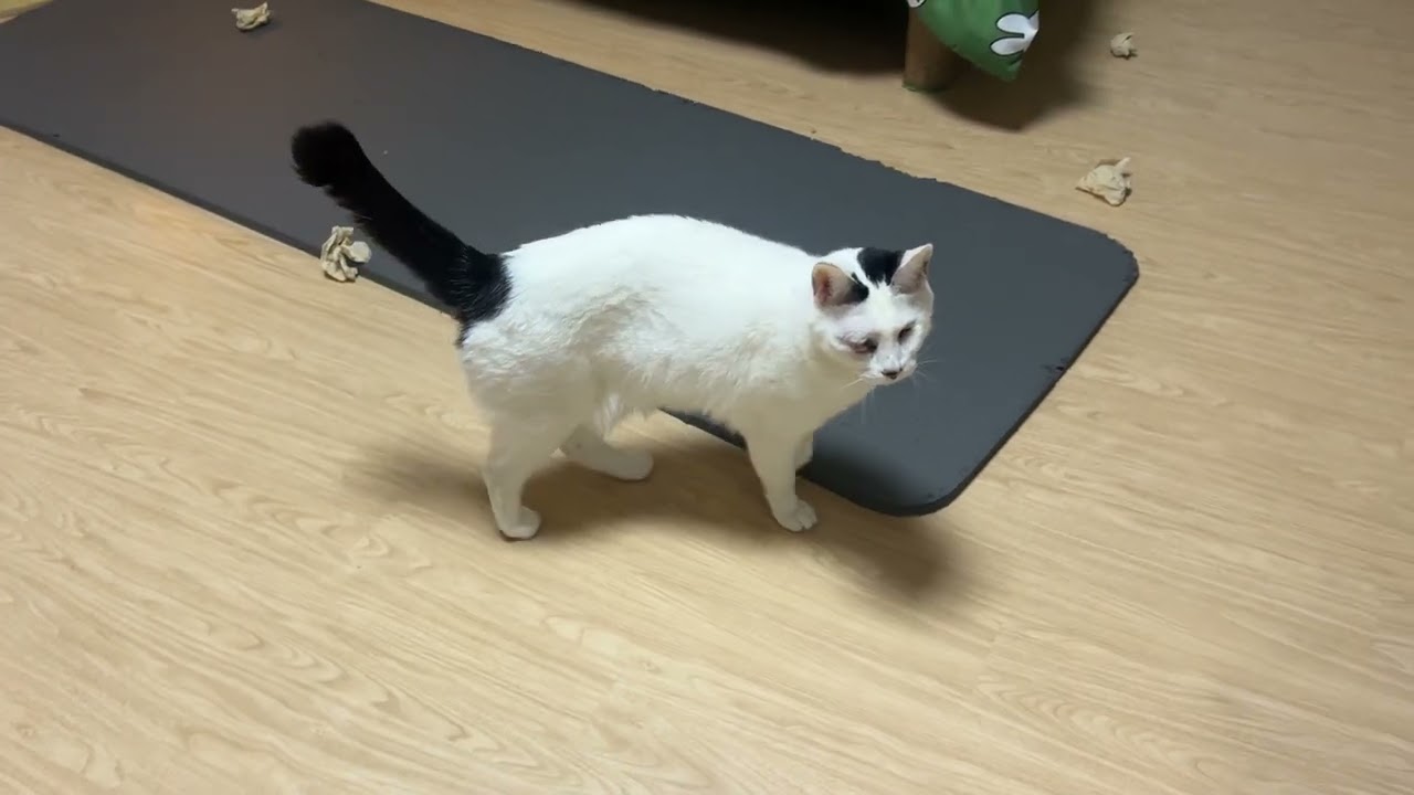 천방지축 김조랭