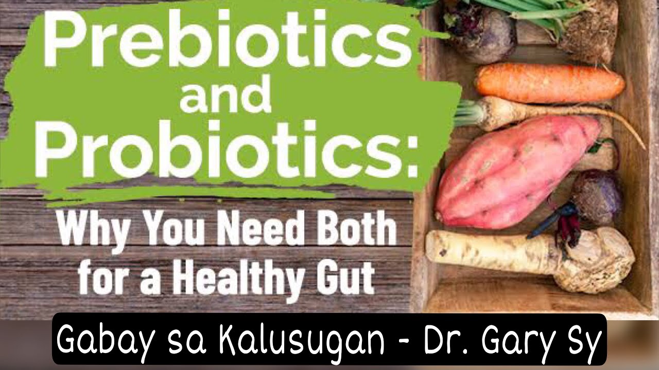 Prebiotics & Probiotics for a Healthy Gut - Dr. Gary Sy