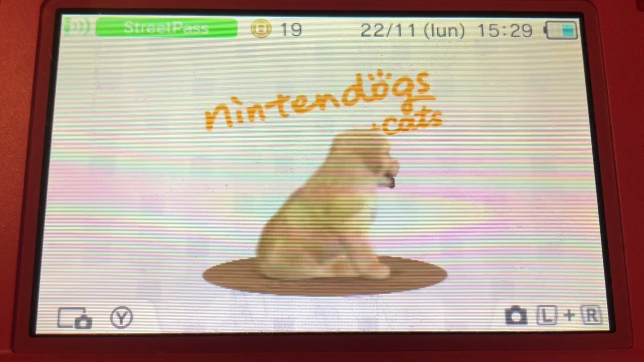 🌸 Présentation de mes animaux et de mon inventaire - Nintendogs + cats 🌸