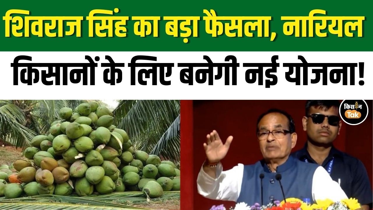 Shivraj Singh Chouhan ने Chennai में किया नारियल किसानों के लिए बड़ा ऐलान #coconutfarming #farmer
