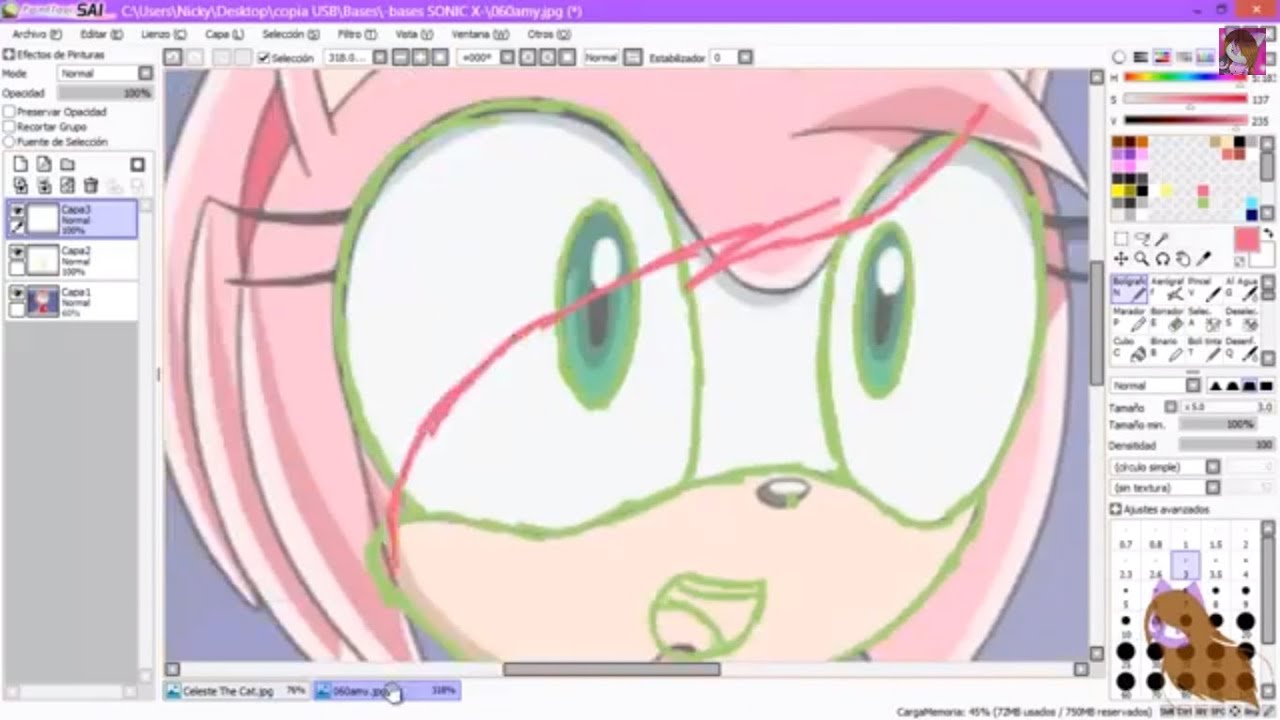 RQ [Sonic X Edit] Amy Rose To Celeste The Cat