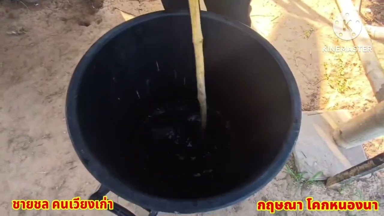 เชื่อมโยงเครือข่ายโคกหนองนาอำเภอเวียงเก่า ถ่ายทอดองค์ความรู้สู่สาธารณะ แปลงกฤษณาโคกหนองนา