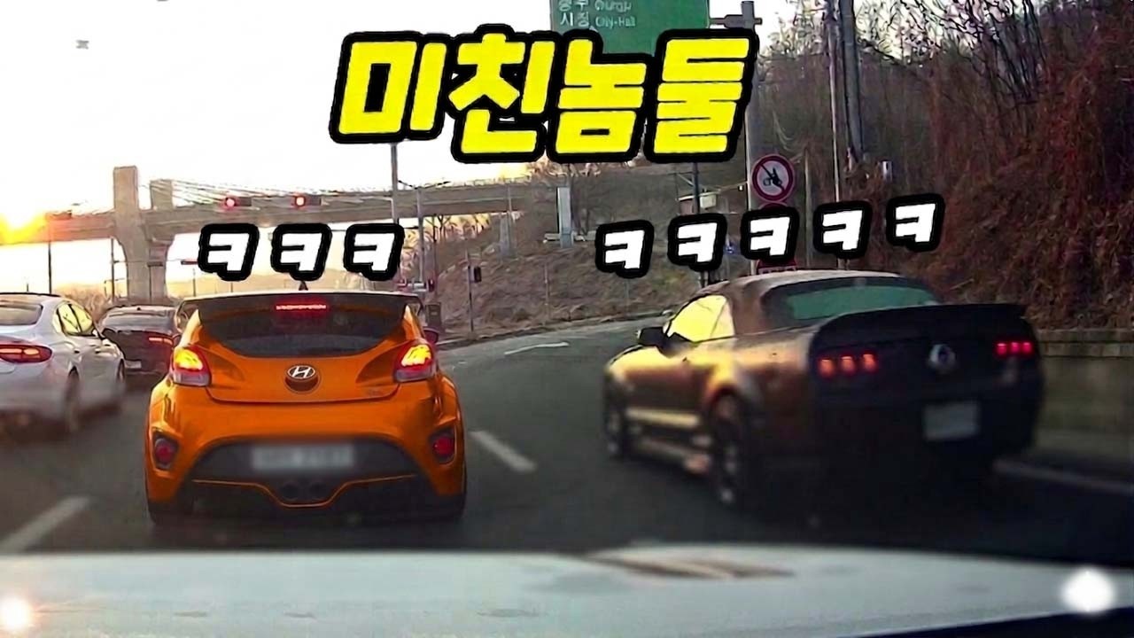[블랙박스]생긴대로 놀고있네｜2026블박사고영상