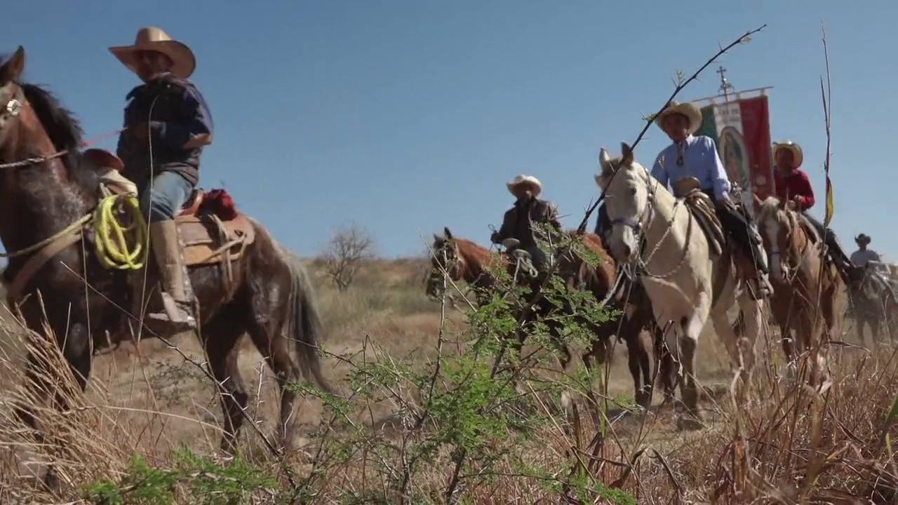 Cabalgata a Cristo Rey - Pilgrim to Christ The King