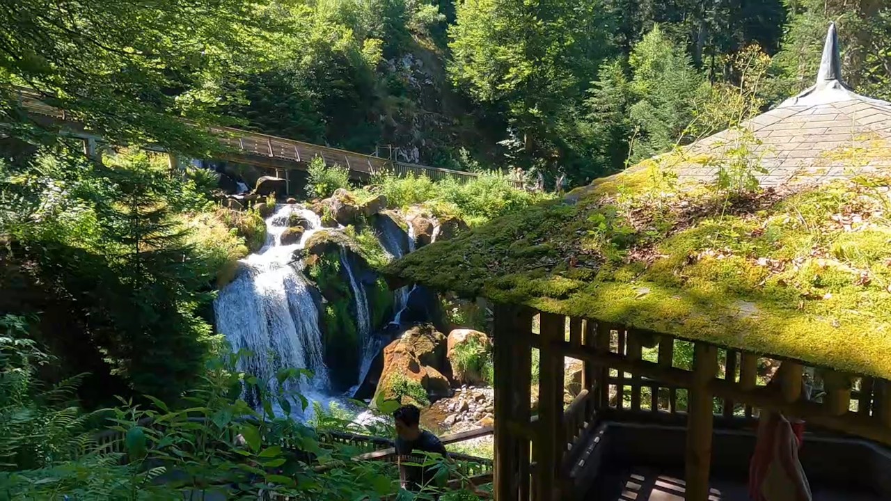 This Is Germany&rsquo;s Tallest Waterfall in Triberg &ndash; And You Can Visit for FREE! 🇩🇪