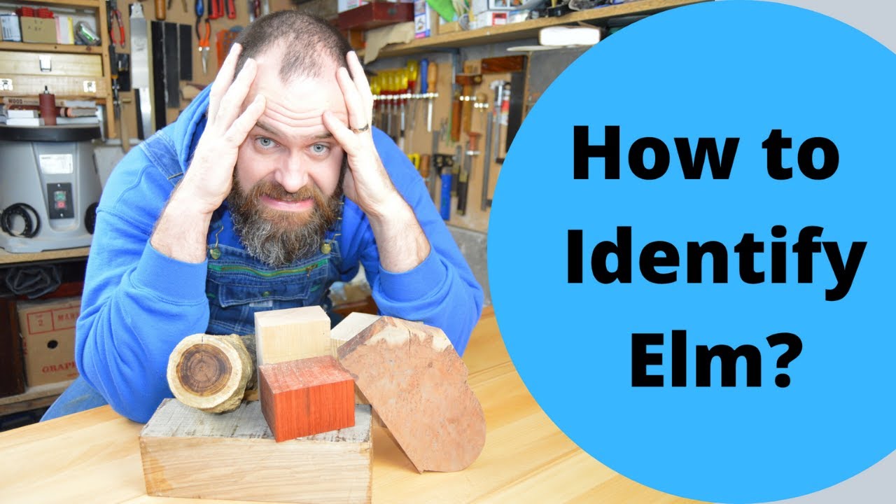 Wood Wecognition Wednesday: Elm