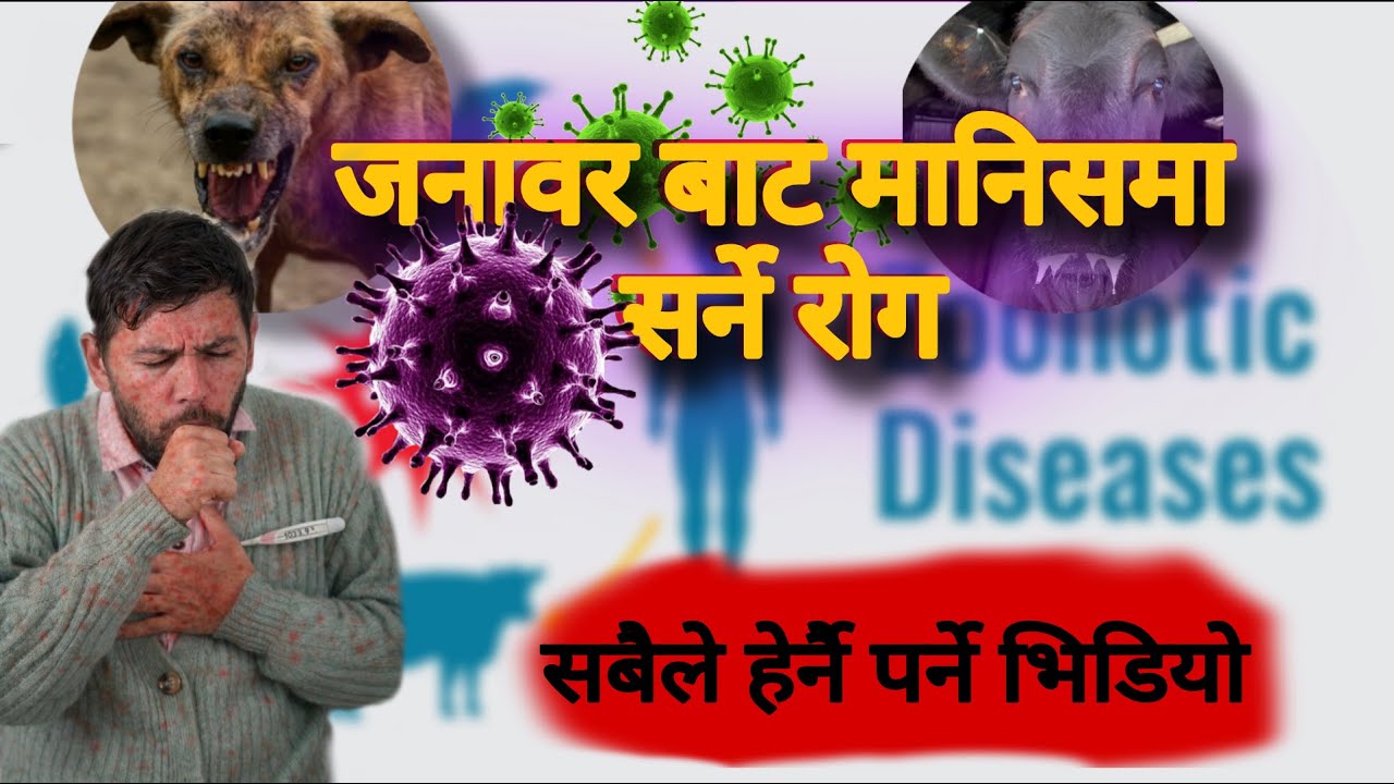 Zoonotic Disease Explained |पशुपन्छी बाट मानिसमा सर्ने रोग #ZoonoticDisease #AnimalToHumanDisease