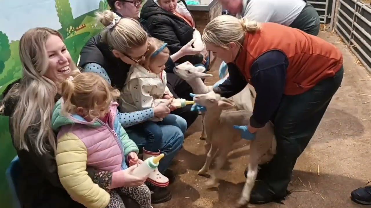 A trip to Birchfield Farm 2026