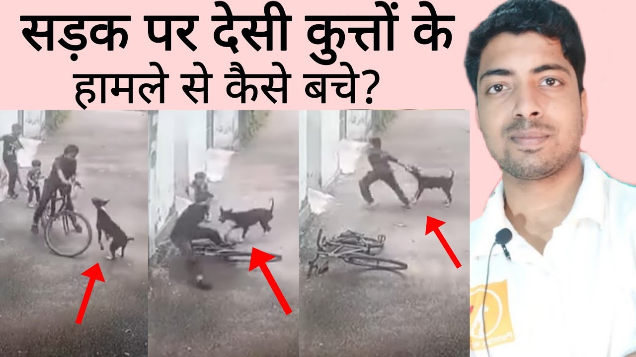 Tips to saty safe from dog attack on road.