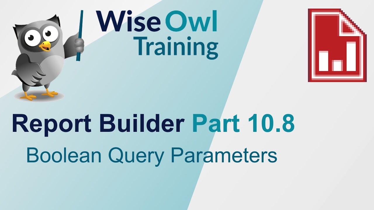 SSRS Report Builder Part 10.8 - Boolean Query Parameters