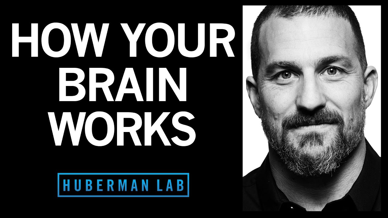How Your Brain Works & Changes