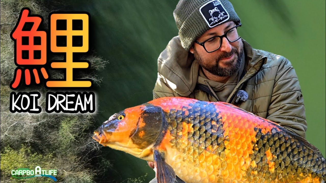 KOI DREAM // Carpfishing notturno alla ricerca di una carpa koi, utilizzando il Deeper Quest.