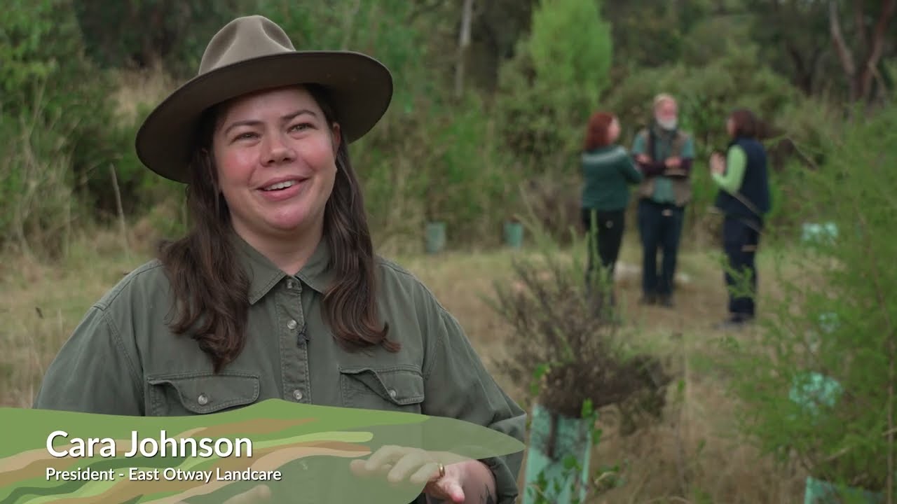 Habitat regeneration in the Bambra bushland - Wild Otways Initiative