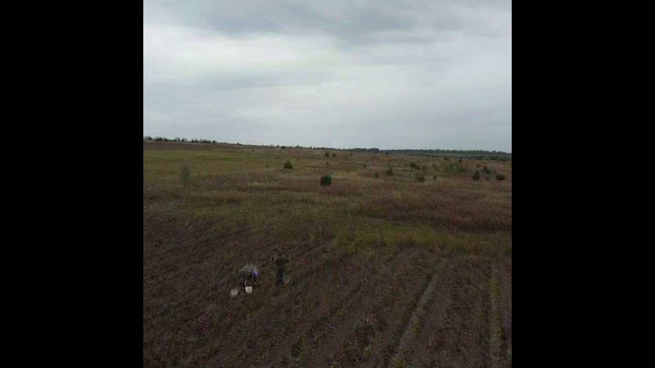 Уборка картофеля в Никольском скиту.