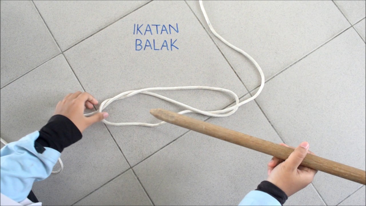 Ikatan Balak