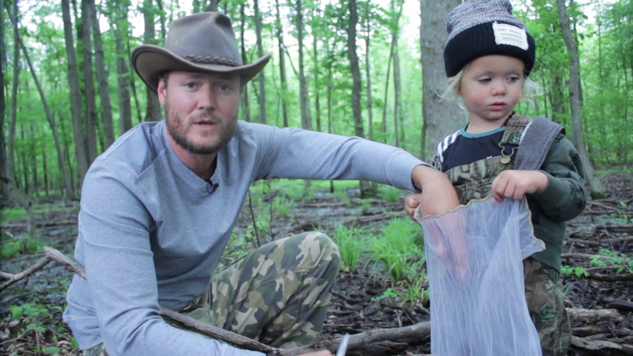 Wood Ear Mushrooms: The Wild Mushroom With Cardiovascular Benefits