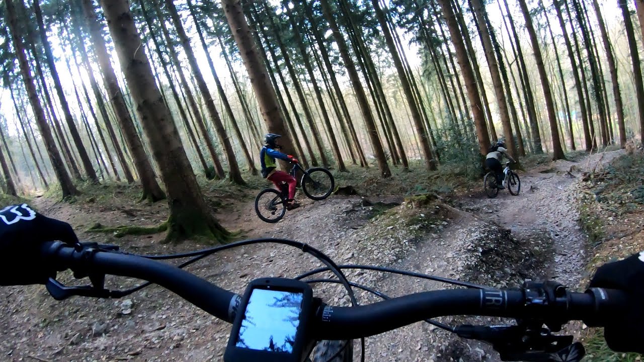 Aachener Wald & Bikepark