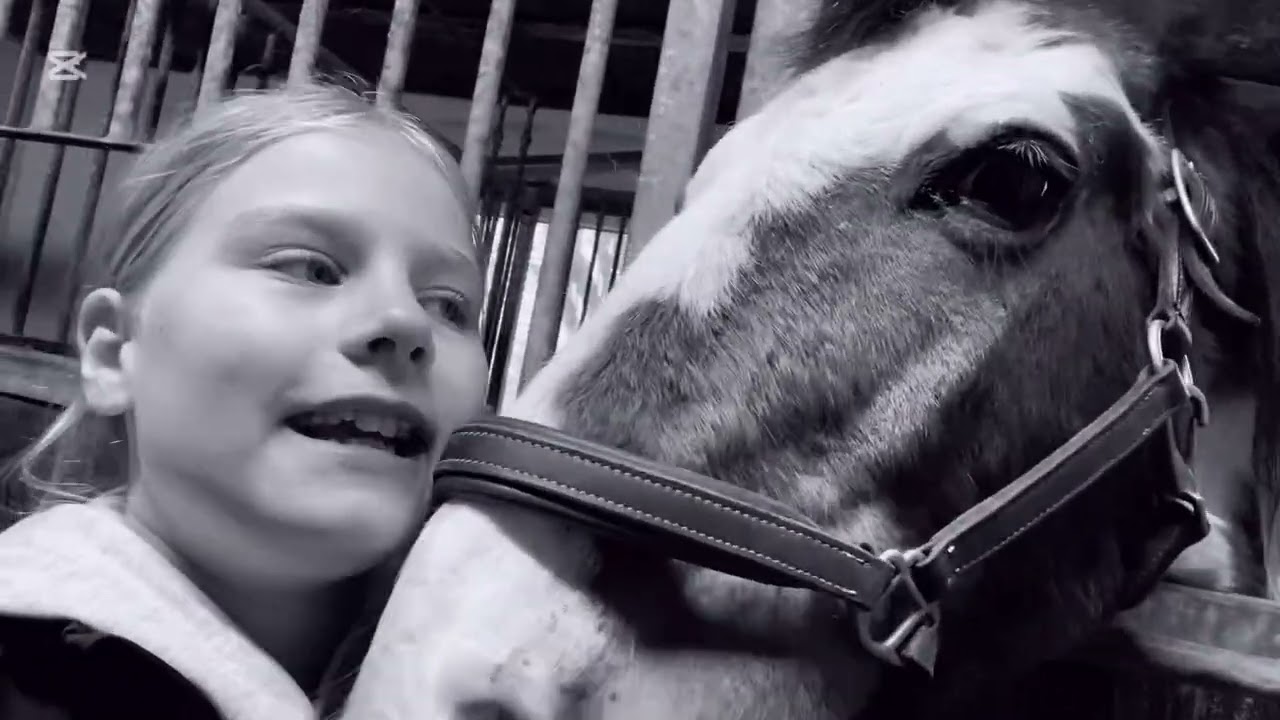 Savner dig❤️😢#equestrian #love #pony #horses