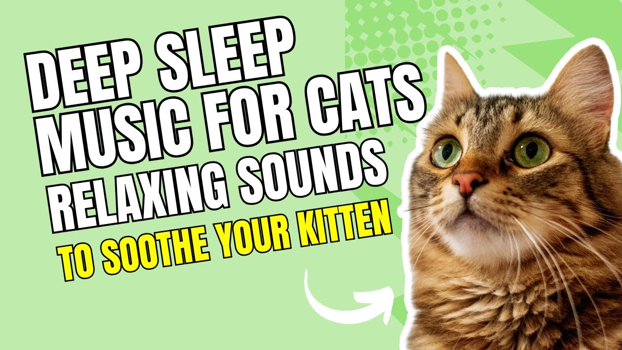 Deep Sleep Music for Cats 🐱 Relaxing Sounds to Soothe Your Kitten