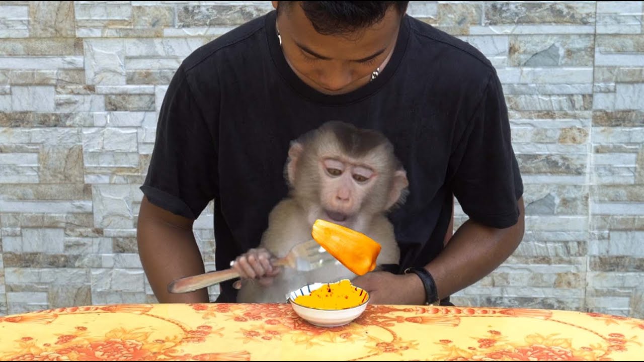 So cute! Kiki ate all the rice in dad's salad!