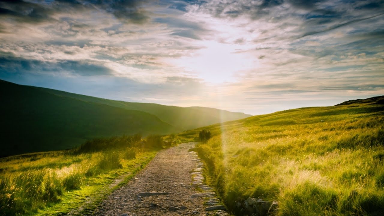 The Medicine of the Dharma Meditation — Jack Kornfield