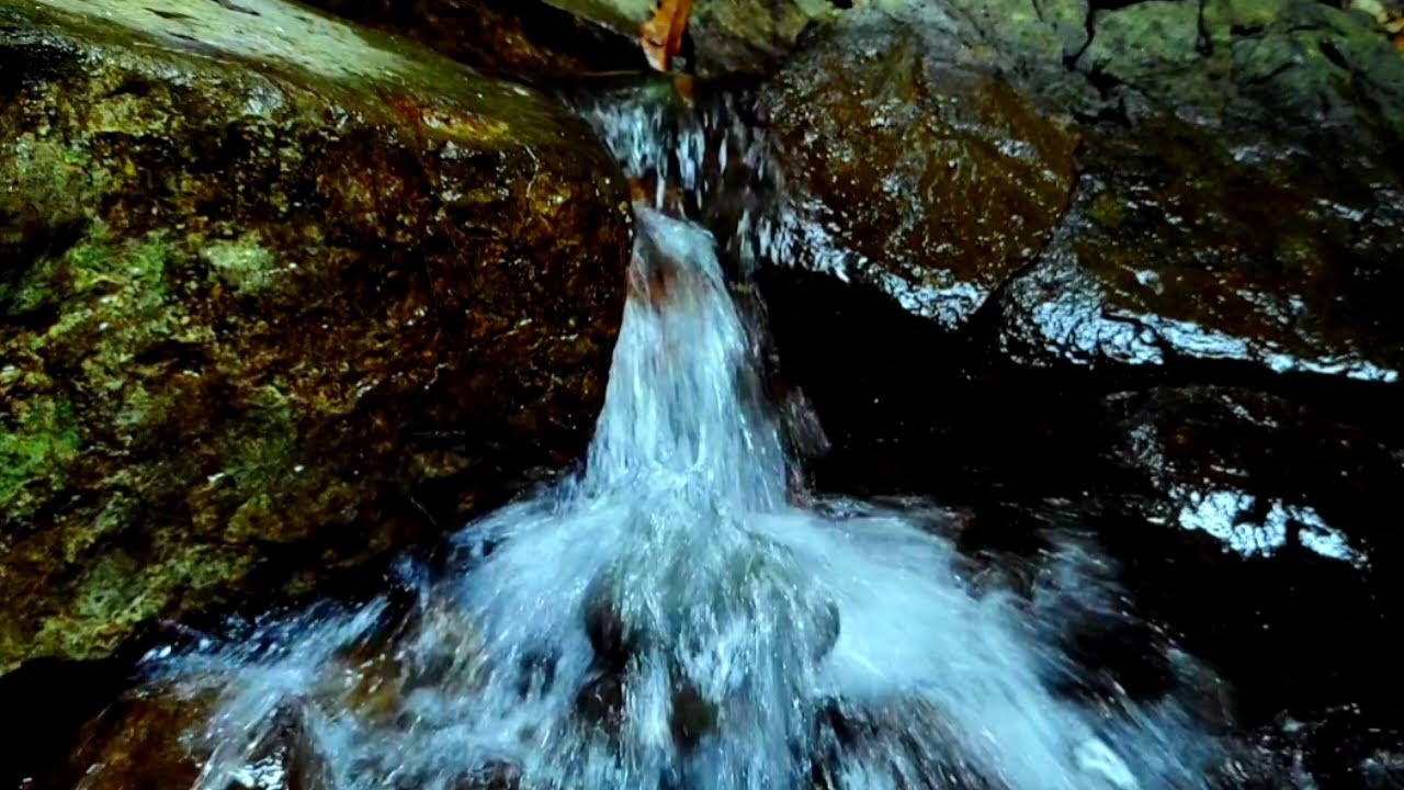 clear water flow in the forest_(flowing water, birdsong, music) meditation, relaxation, ASMR